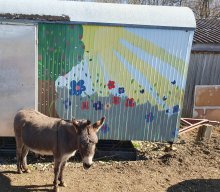 Wanderung "Perspektivenwechsel"